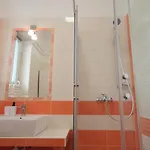 Apartman Liceo